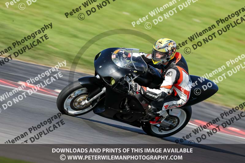 brands hatch photographs;brands no limits trackday;cadwell trackday photographs;enduro digital images;event digital images;eventdigitalimages;no limits trackdays;peter wileman photography;racing digital images;trackday digital images;trackday photos